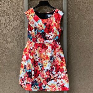 Liz Claiborne Dress